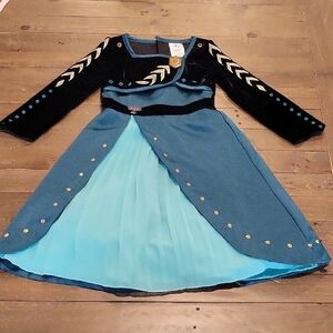 Disney Teal and Black Princess Costume